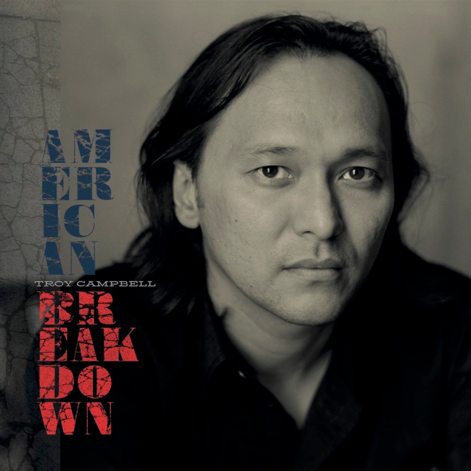 Troy Campbell American Breakdown LP (Remastered)
