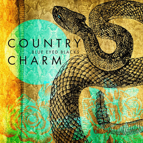 Country Charm CD